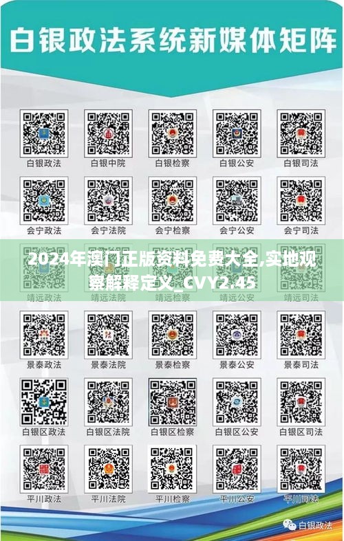 2024年澳门正版资料免费大全,实地观察解释定义_CVY2.45