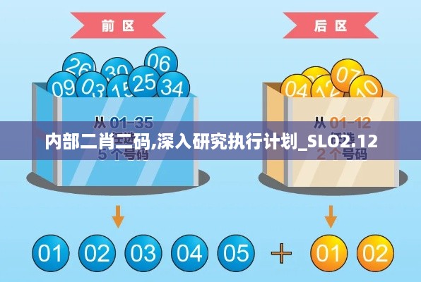 内部二肖二码,深入研究执行计划_SLO2.12