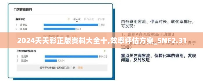 2024天天彩正版资料大全十,效率评估方案_SNF2.31