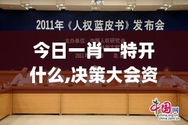 今日一肖一特开什么,决策大会资料_DCF2.1