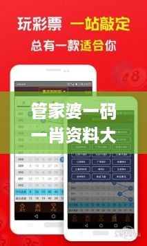 管家婆一码一肖资料大全四柱预测,定性解析明确评估_VXE2.50