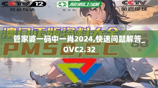 管家婆一码中一肖2024,快速问题解答_OVC2.32