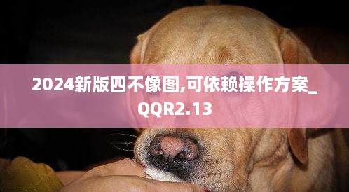 xingchixiyong 第18页
