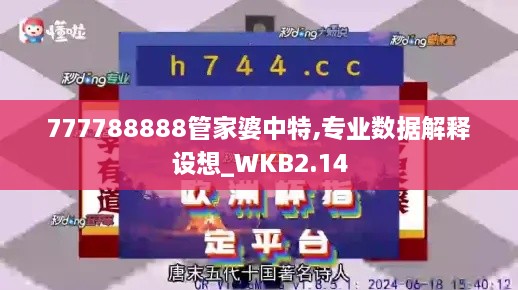 777788888管家婆中特,专业数据解释设想_WKB2.14