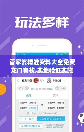 管家婆精准资料大全免费龙门客栈,实地验证实施_SDY2.57