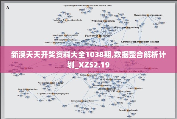新澳天天开奖资料大全1038期,数据整合解析计划_XZS2.19