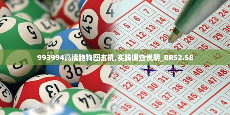 993994高清跑狗图玄机,实践调查说明_BRS2.58
