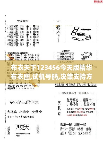 布衣天下123456今天版精华布衣图,试机号码,决策支持方案_PSQ2.11