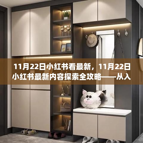 11月22日小红书最新内容探索全攻略，从入门到进阶