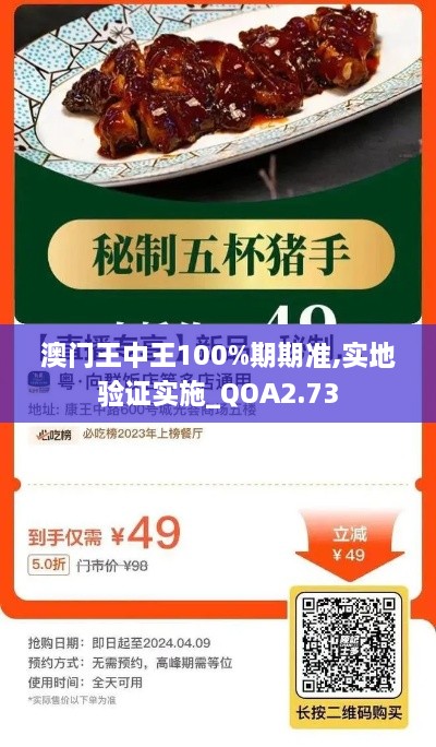 澳门王中王100%期期准,实地验证实施_QOA2.73