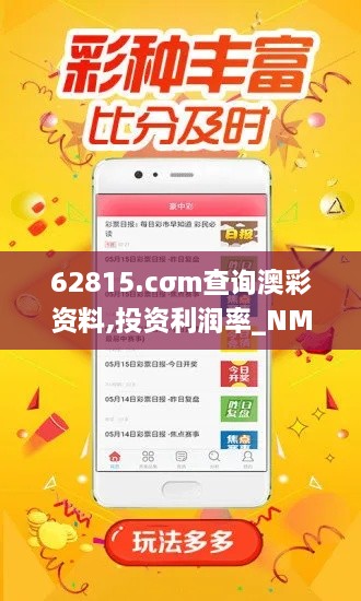 62815.cσm查询澳彩资料,投资利润率_NMK2.8