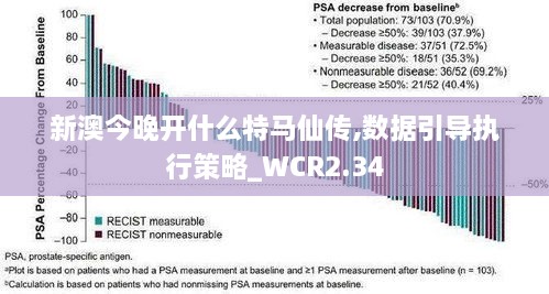 新澳今晚开什么特马仙传,数据引导执行策略_WCR2.34