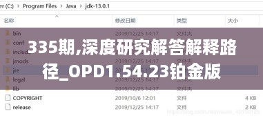 335期,深度研究解答解释路径_OPD1.54.23铂金版