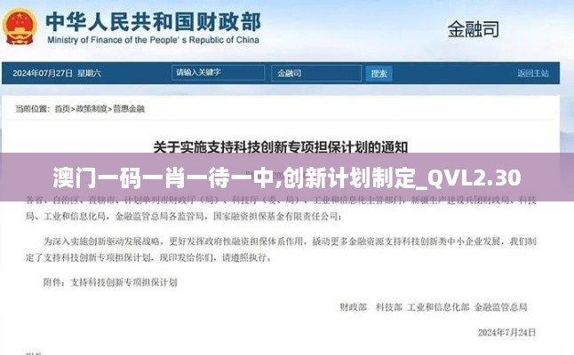 澳门一码一肖一待一中,创新计划制定_QVL2.30