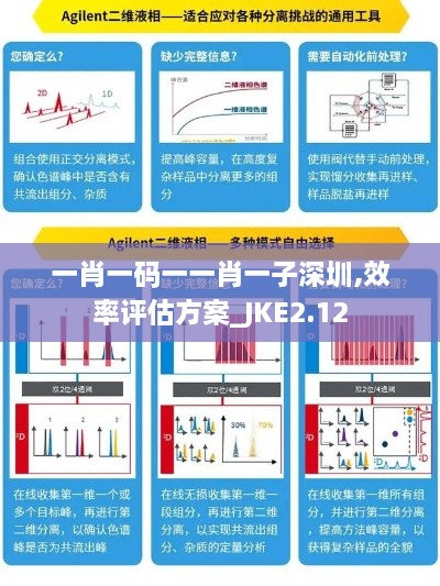 一肖一码一一肖一子深圳,效率评估方案_JKE2.12