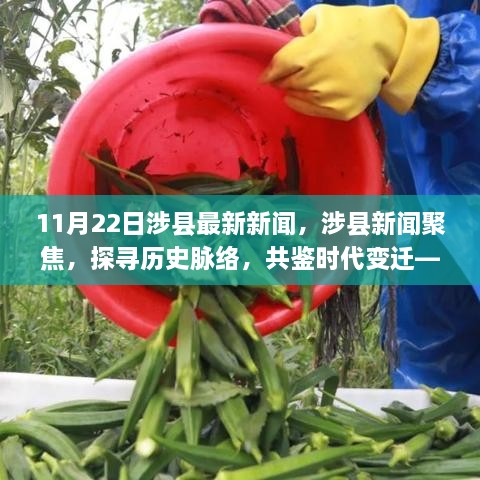 涉县新闻聚焦，探寻历史脉络，共鉴时代变迁——十一月二十二日要闻回顾与最新动态