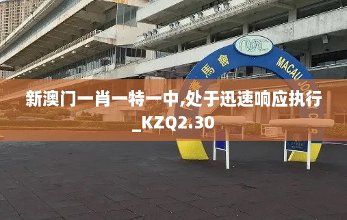 chengxinchengyi 第17页