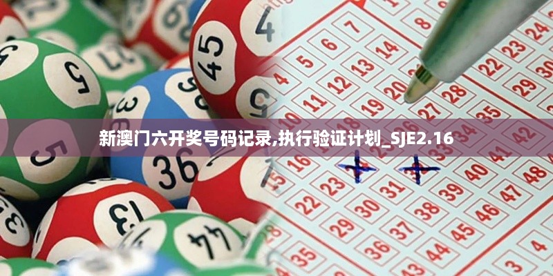新澳门六开奖号码记录,执行验证计划_SJE2.16