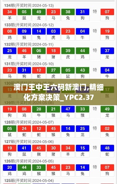 澳门王中王六码新澳门,精细化方案决策_YPC2.37