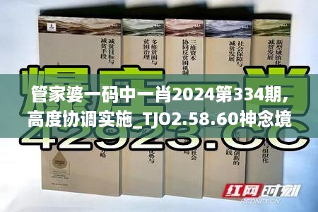管家婆一码中一肖2024第334期,高度协调实施_TJO2.58.60神念境