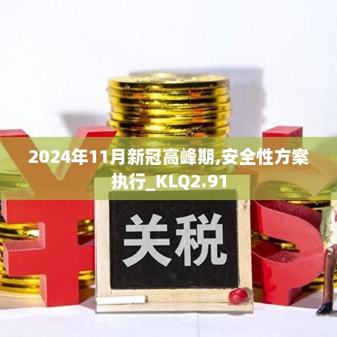 2024年11月新冠高峰期,安全性方案执行_KLQ2.91