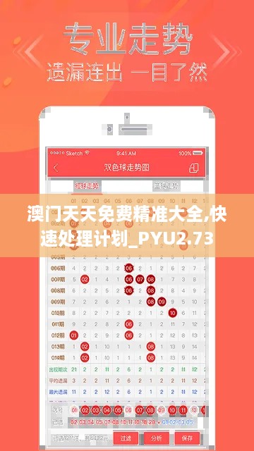 澳门天天免费精准大全,快速处理计划_PYU2.73