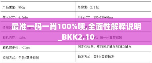 最准一码一肖100%噢,全面性解释说明_BKK2.10