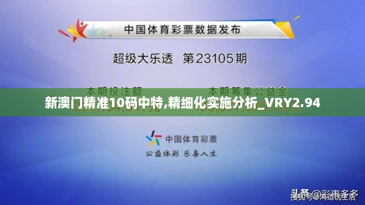 新澳门精准10码中特,精细化实施分析_VRY2.94