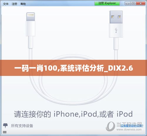 一码一肖100,系统评估分析_DIX2.6