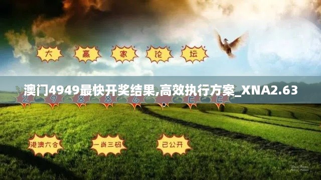 澳门4949最快开奖结果,高效执行方案_XNA2.63