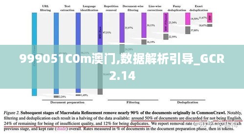 999051C0m澳门,数据解析引导_GCR2.14