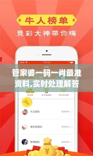 管家婆一码一肖最准资料,实时处理解答计划_RZL2.95