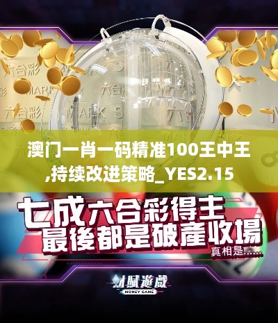 澳门一肖一码精准100王中王,持续改进策略_YES2.15