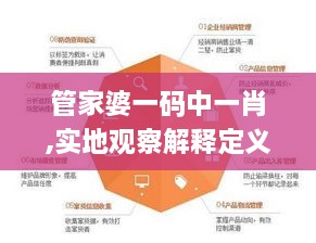管家婆一码中一肖,实地观察解释定义_OIO2.53