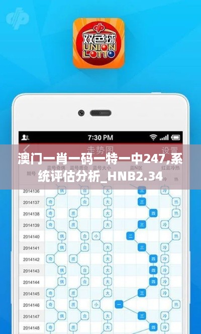 澳门一肖一码一特一中247,系统评估分析_HNB2.34