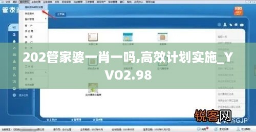202管家婆一肖一吗,高效计划实施_YVO2.98