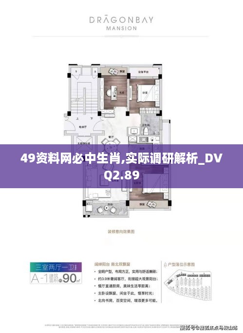 49资料网必中生肖,实际调研解析_DVQ2.89