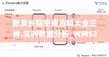 新奥长期免费资料大全三肖,实时数据分析_WMS2.86
