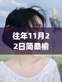 揭秘历年11月22日简桑榆顾沉最新动态，深度解析二人世界的最新重磅更新！