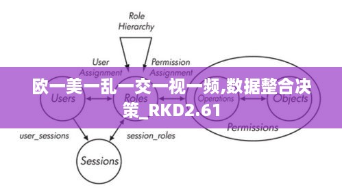 欧一美一乱一交一视一频,数据整合决策_RKD2.61
