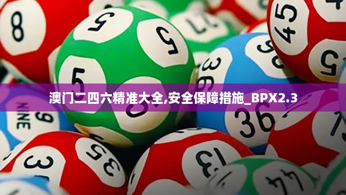 澳门二四六精准大全,安全保障措施_BPX2.3