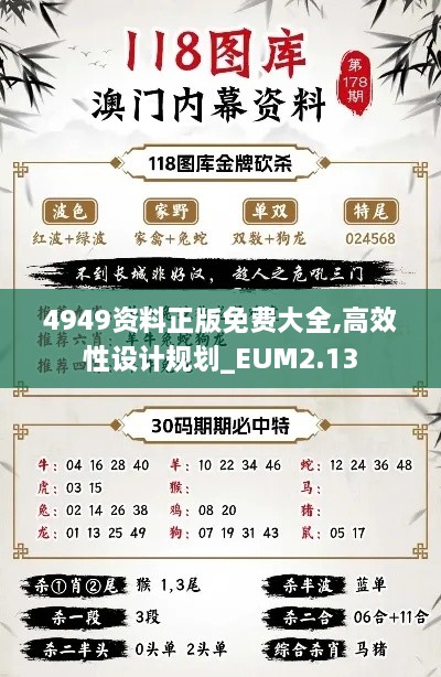 4949资料正版免费大全,高效性设计规划_EUM2.13