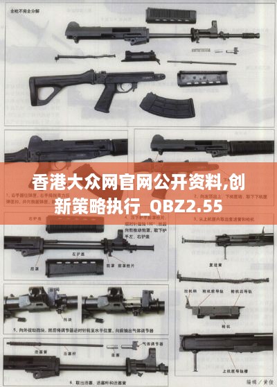 香港大众网官网公开资料,创新策略执行_QBZ2.55