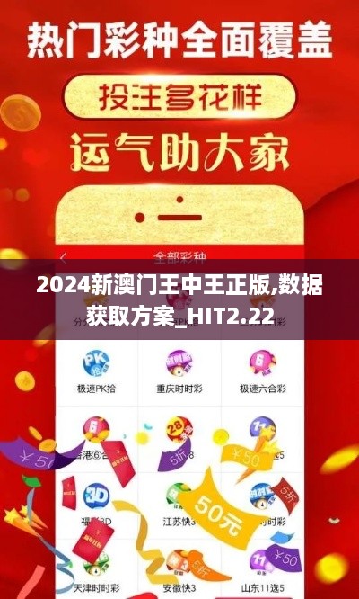 2024新澳门王中王正版,数据获取方案_HIT2.22