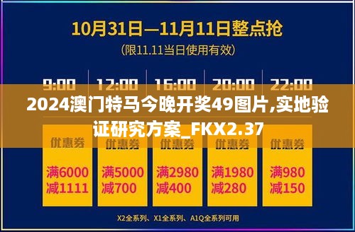 2024澳门特马今晚开奖49图片,实地验证研究方案_FKX2.37
