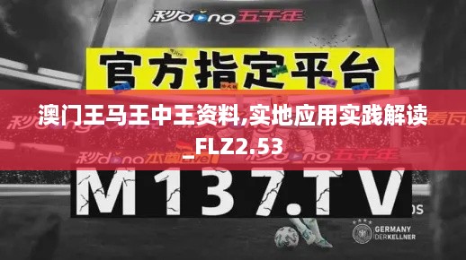 澳门王马王中王资料,实地应用实践解读_FLZ2.53