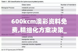 600kcm澳彩资料免费,精细化方案决策_DJV2.30