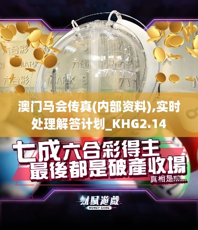 澳门马会传真(内部资料),实时处理解答计划_KHG2.14