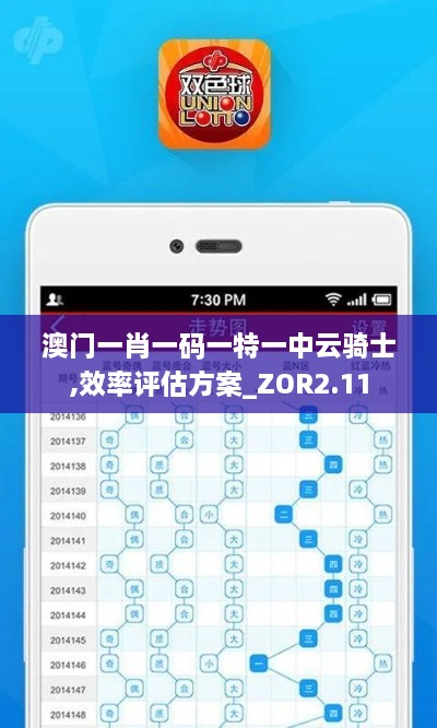澳门一肖一码一特一中云骑士,效率评估方案_ZOR2.11