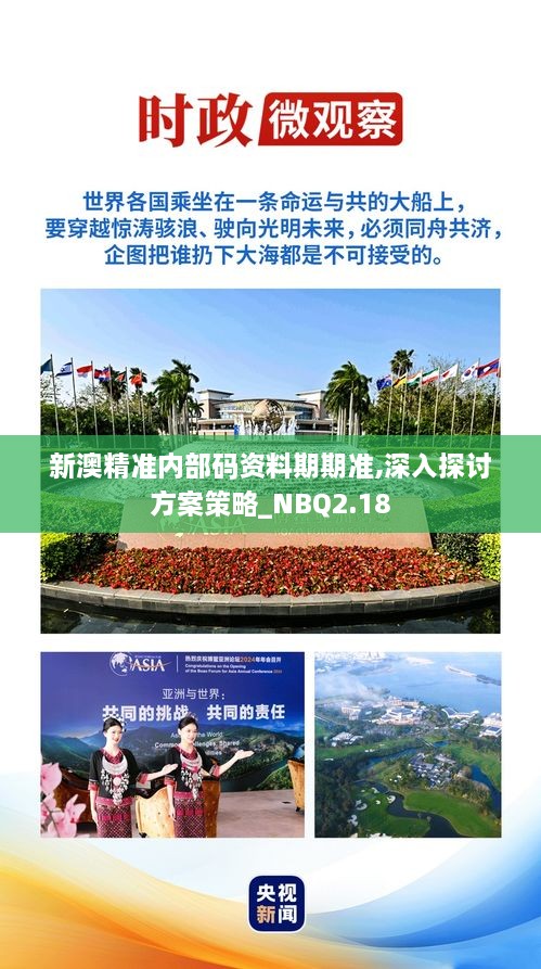 新澳精准内部码资料期期准,深入探讨方案策略_NBQ2.18